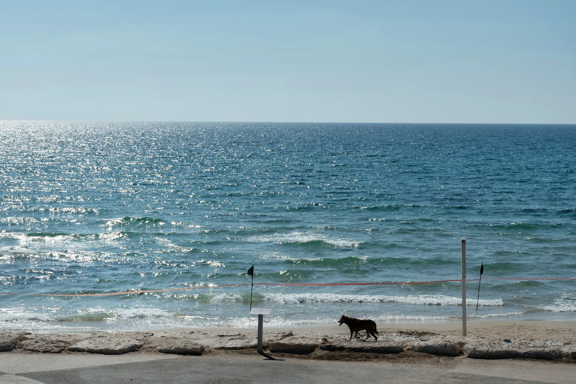Travel to Isreal photograph 4